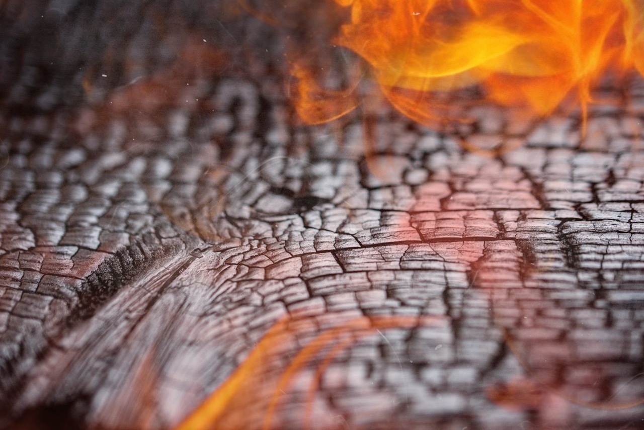 Wood Protection with Fire and Ecology